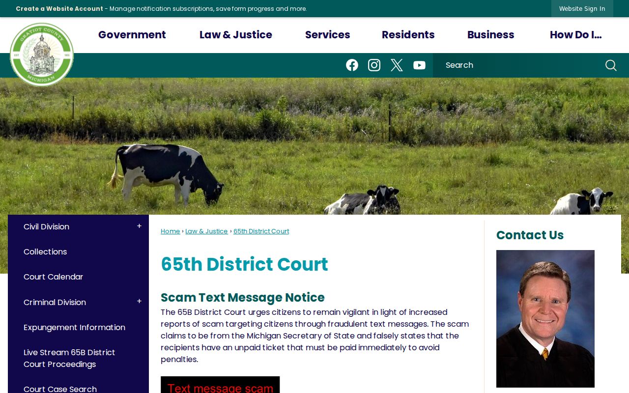 Gratiot County criminal court cases at 65B District Court